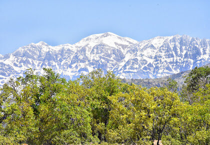 واکنشها به ماجرای واگذاری دنای شمالی به استان اصفهان و ساخت سد «ماندگان»