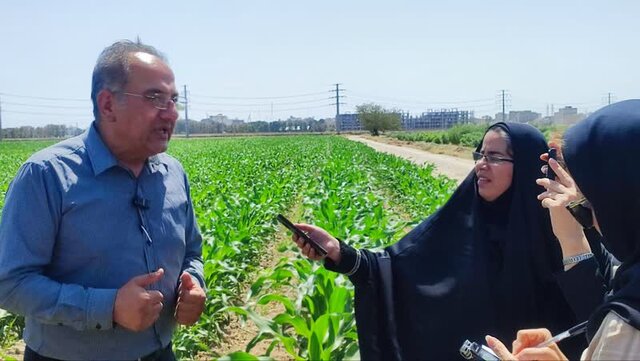 تغییر الگوی کشت در استان تهران ضروری است تغییر الگوی کشت در استان تهران ضروری است