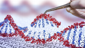 امکان طراحی و ساخت انواع نانوکارخانه‌ها با مهندسی DNA