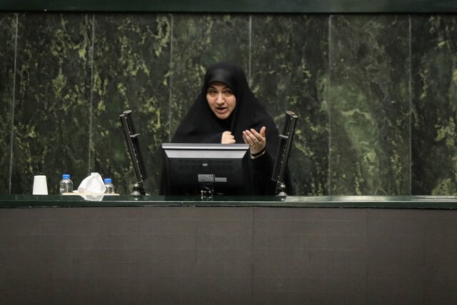 رفیعی: نگهداشت درخت خیلی مهمتر از کاشت آن است رفیعی: نگهداشت درخت خیلی مهمتر از کاشت آن است