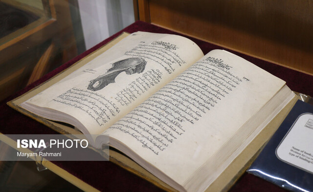 عکس تزئینی است. ابنسینا نخستین نویسنده دایرةالمعارف فلسفی است