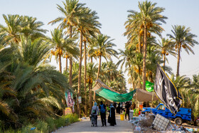 زائران حسینی در مسیر کربلا