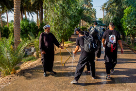 زائران حسینی در مسیر کربلا