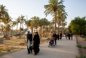 زائران حسینی در مسیر کربلا