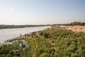 زائران حسینی در مسیر کربلا