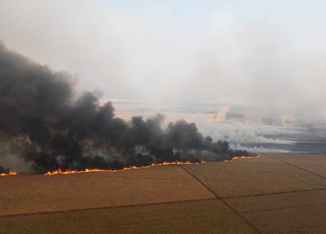 آیا اختلافات محلی «بلوط بلند» را به آتش کشید؟ آیا اختلافات محلی «بلوط بلند» را به آتش کشید؟