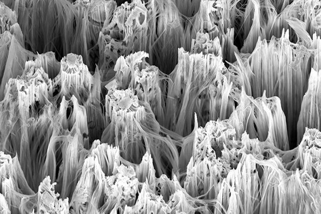 ساخت رشته سیمهای نانویی با کمک مواد پلیمری ساخت رشته سیمهای نانویی با کمک مواد پلیمری