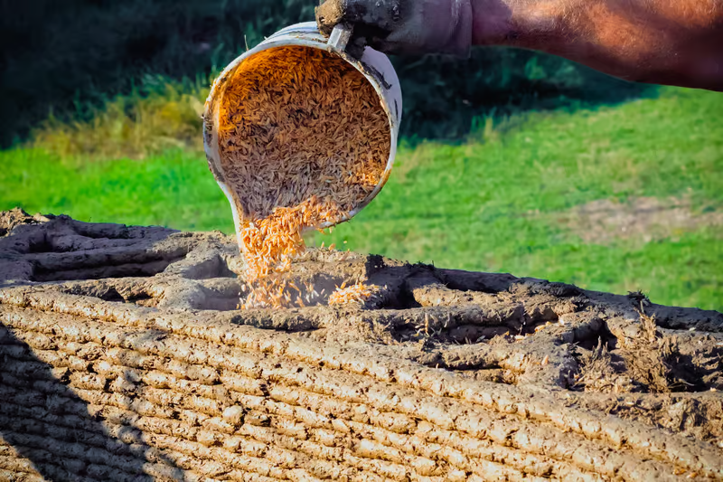 ساخت خانههای ۱۰۰۰ دلاری با الهام از لانه زنبور