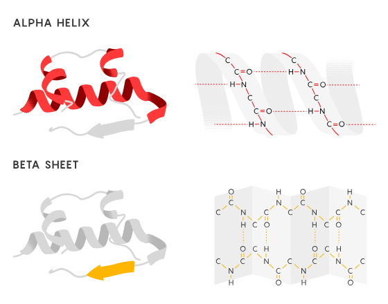 چگونه روبانهای رنگی تبدیل به نماد پروتئینها در تصاویر شدند؟