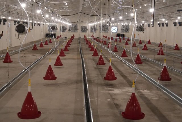 افتتاح همزمان ۸۳ پروژه عمرانی، اقتصادی و تولیدی بخش کشاورزی آذربایجانغربی