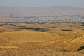 نمایی دور از اراضی حاصلخیز گندم شهرستان اهر