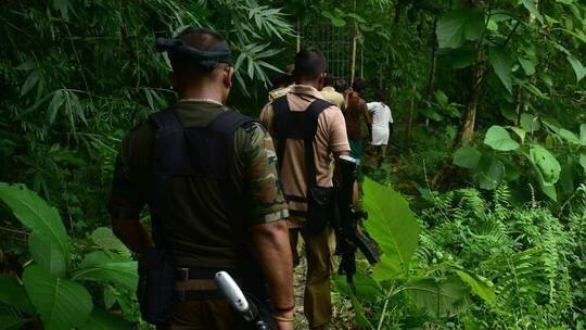 عکس: گتی ایمجز زندهگیری گله گرگهای آدمخوار در هند+فیلم