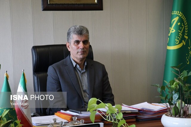 رشد تولید گوشت قرمز در گیلان رشد تولید گوشت قرمز در گیلان