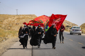 زائران پیاده حرم امام رضا (ع)