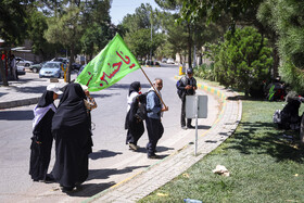 زائران پیاده حرم امام رضا (ع)