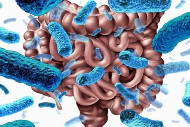 عکس تزیینی است. «ورزش» موثر بر سلامت روده