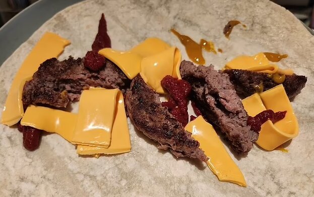 تجربه سخت یک روز زندگی فضایی روزنامهنگار دیلیمیل