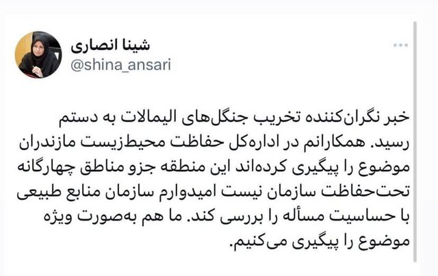 واکنش رئیس سازمان محیط زیست به خبر تخریب جنگلهای الیمالات