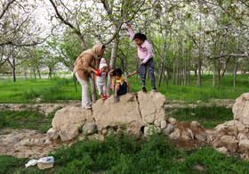 تفریح خانوادگی در باغ پدربزرگ - خانواده ایرانی؛ خانواده سقازاده خسروشاهی