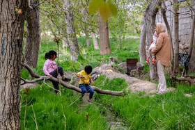 تفریح خانوادگی در باغ پدربزرگ - خانواده ایرانی؛ خانواده سقازاده خسروشاهی