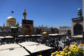 عزاداری شهادت امام رضا ( ع ) در مشهد