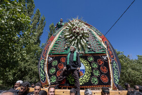 آیین نخل برداری روز شهادت امام رضا (ع) در روستای علی آباد شهرستان تفت _ استان یزد