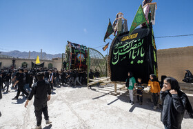 آیین نخل برداری روز شهادت امام رضا (ع) در روستای علی آباد شهرستان تفت _ استان یزد