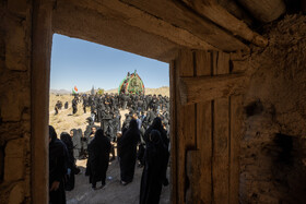 آیین نخل برداری روز شهادت امام رضا (ع) در روستای علی آباد شهرستان تفت _ استان یزد