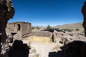 آیین نخل برداری روز شهادت امام رضا (ع) در روستای علی آباد شهرستان تفت _ استان یزد