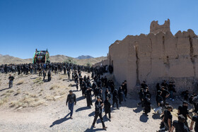 آیین نخل برداری روز شهادت امام رضا (ع) در روستای علی آباد شهرستان تفت _ استان یزد