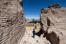 آیین نخل برداری روز شهادت امام رضا (ع) در روستای علی آباد شهرستان تفت _ استان یزد