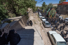 آیین نخل برداری روز شهادت امام رضا (ع) در روستای علی آباد شهرستان تفت _ استان یزد