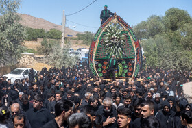 آیین نخل برداری روز شهادت امام رضا (ع) در روستای علی آباد شهرستان تفت _ استان یزد