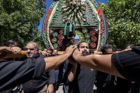 آیین نخل برداری روز شهادت امام رضا (ع) در روستای علی آباد شهرستان تفت _ استان یزد