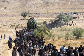 آیین نخل برداری روز شهادت امام رضا (ع) در روستای علی آباد شهرستان تفت _ استان یزد