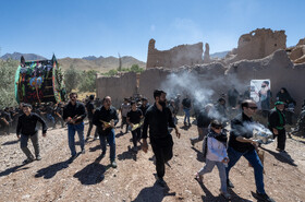 آیین نخل برداری روز شهادت امام رضا (ع) در روستای علی آباد شهرستان تفت _ استان یزد