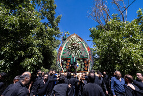 آیین نخل برداری روز شهادت امام رضا (ع) در روستای علی آباد شهرستان تفت _ استان یزد