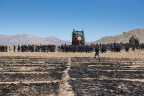 آیین نخل برداری روز شهادت امام رضا (ع) در روستای علی آباد شهرستان تفت _ استان یزد