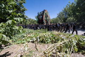 آیین نخل برداری روز شهادت امام رضا (ع) در روستای علی آباد شهرستان تفت _ استان یزد