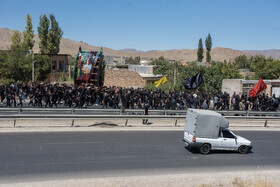 آیین نخل برداری روز شهادت امام رضا (ع) در روستای علی آباد شهرستان تفت _ استان یزد