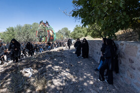 آیین نخل برداری روز شهادت امام رضا (ع) در روستای علی آباد شهرستان تفت _ استان یزد