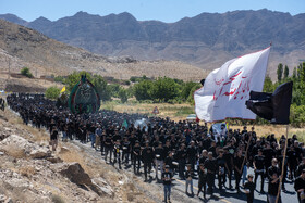 آیین نخل برداری روز شهادت امام رضا (ع) در روستای علی آباد شهرستان تفت _ استان یزد