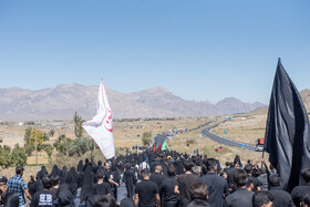 آیین نخل برداری روز شهادت امام رضا (ع) در روستای علی آباد شهرستان تفت _ استان یزد