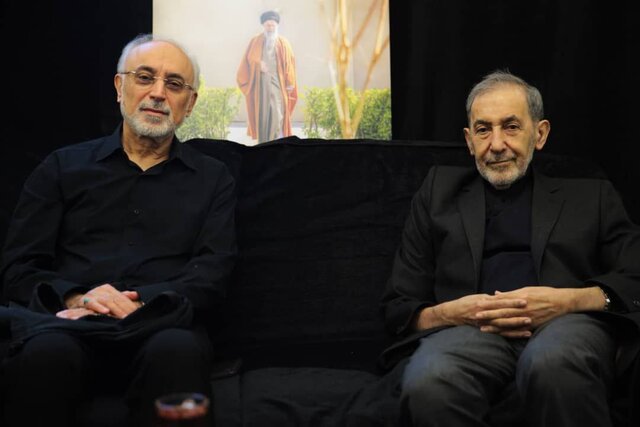 دیدار صالحی، سنایی و تختروانچی با ولایتی