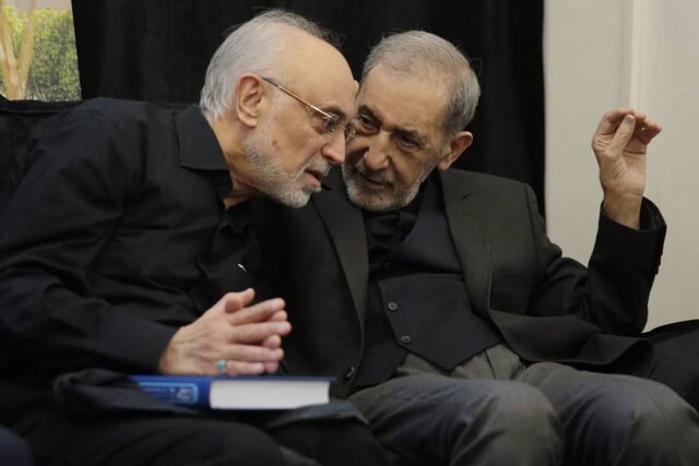 دیدار صالحی، سنایی و تختروانچی با ولایتی