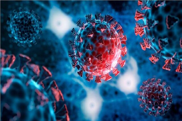 کشف آنتیبادی جدیدی که در برابر همه سویههای کرونا مؤثر است کشف آنتیبادی جدیدی که در برابر همه سویههای کرونا مؤثر است