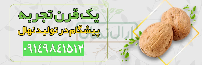 خرید نهال با اصالت، پیشرفت کشاورزی کشور