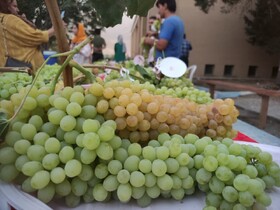 دوازدهمین جشنواره ملی خوشه برتر در ملایر برگزار شد