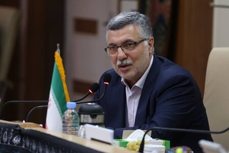 قدردانی «ظفرقندی» از مدیران پیشین وزارت بهداشت قدردانی «ظفرقندی» از مدیران پیشین وزارت بهداشت