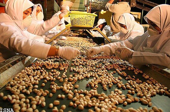 از قطع دست دلالان تا عرضه مستقیم کالا به مردم